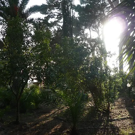Muia * Parabita