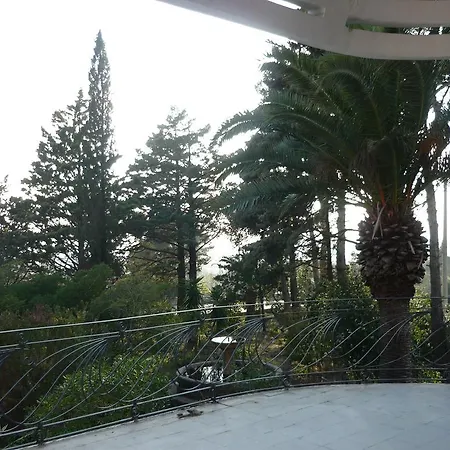 Muia Apartment